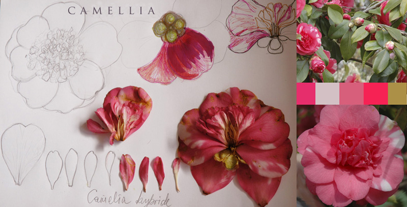 In order to get better at anything we do requires study.  Mila does this with each of the flowers she creates.