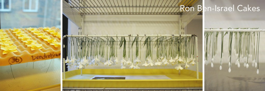 Here are some of Ron's sugar flowers and buds in various states of drying. They must be completely dry before stored.